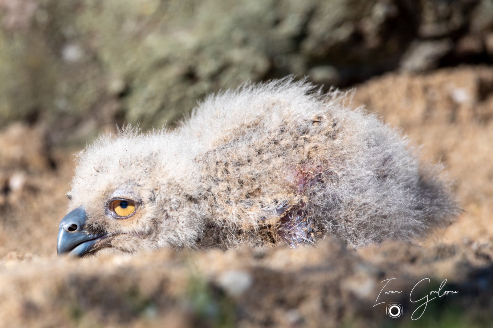 18 april 2022 100510  5D46483